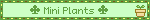 mini plants