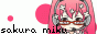 sakura miku